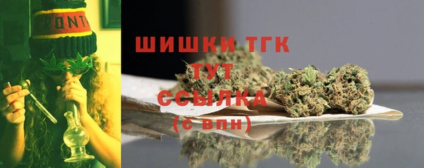 индика Верхний Тагил