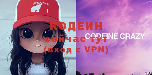 индика Верхний Тагил