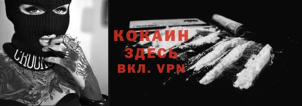 индика Верхний Тагил