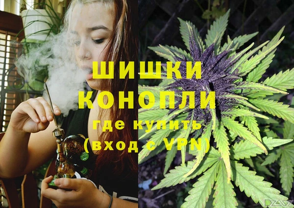 индика Верхний Тагил