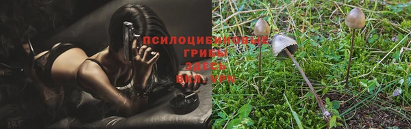 мяу мяу мука Верхнеуральск