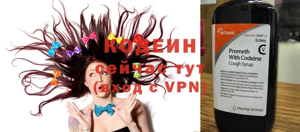 индика Верхний Тагил