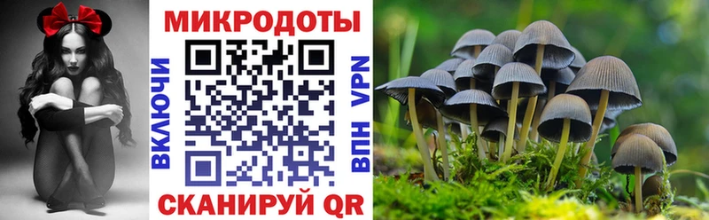 Галлюциногенные грибы ЛСД  как найти закладки  Невинномысск 